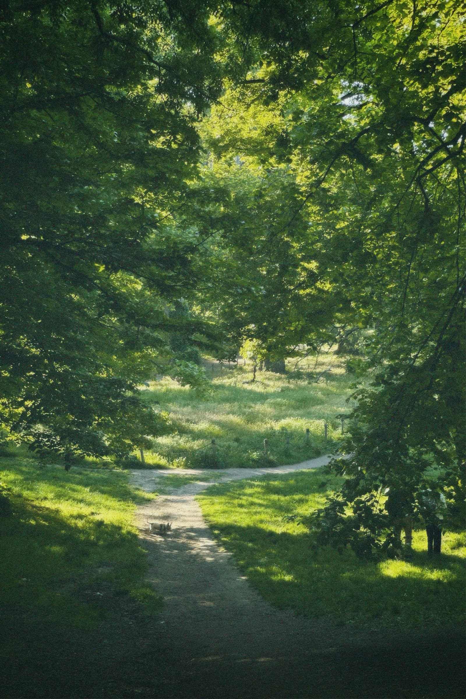 Villa Borghese path, Rome